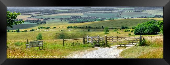 The Trundle View Panoramic Framed Print by Diana Mower