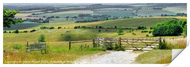 The Trundle View Panoramic Print by Diana Mower