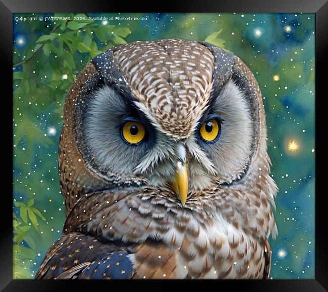 POSH GREY OWL Framed Print by CATSPAWS 