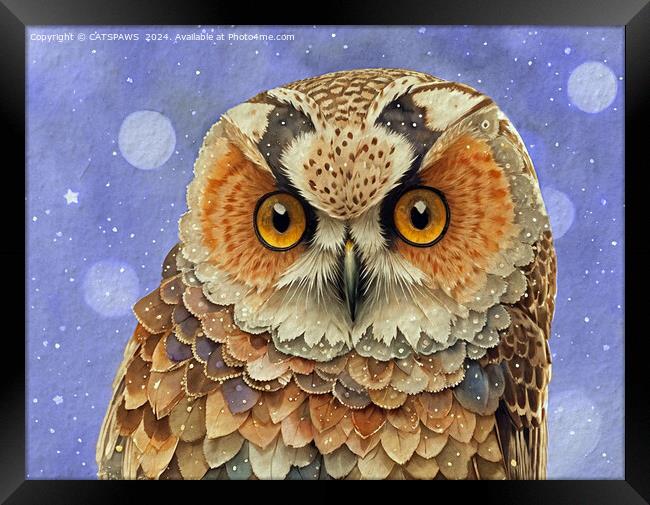PRETTY OWL Framed Print by CATSPAWS 