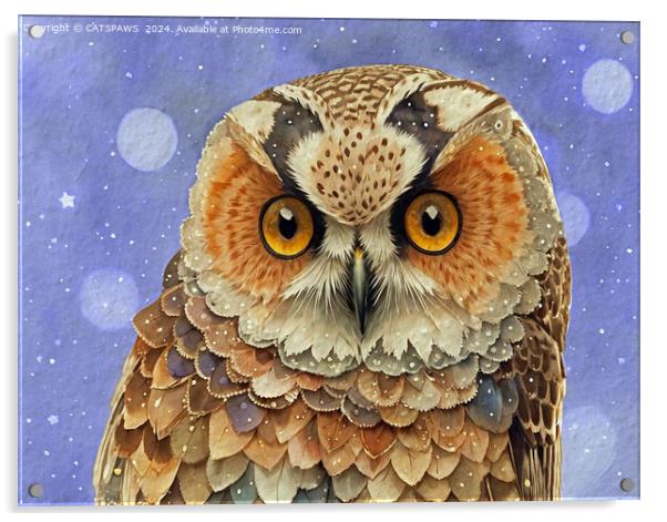 PRETTY OWL Acrylic by CATSPAWS 