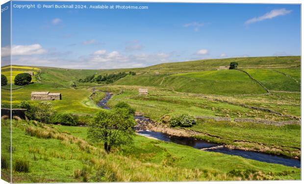 English Countryside in Upper Swaledale Yorkshire D Canvas Print by Pearl Bucknall