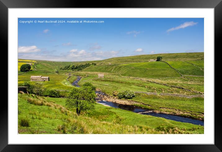 English Countryside in Upper Swaledale Yorkshire D Framed Mounted Print by Pearl Bucknall