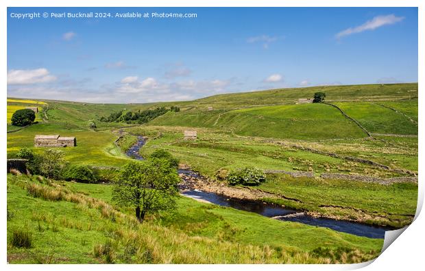 English Countryside in Upper Swaledale Yorkshire D Print by Pearl Bucknall