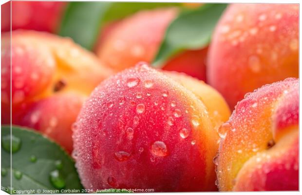 A detailed view capturing the water droplets on a bunch of peaches, highlighting their vibrant colors and juicy texture. Canvas Print by Joaquin Corbalan