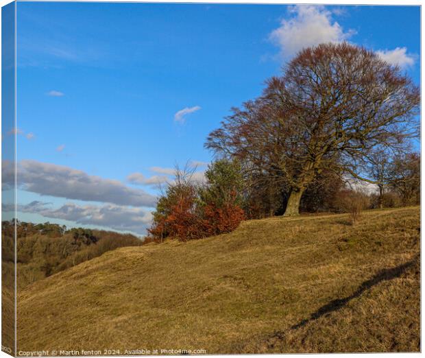 Windswept tree Canvas Print by Martin fenton