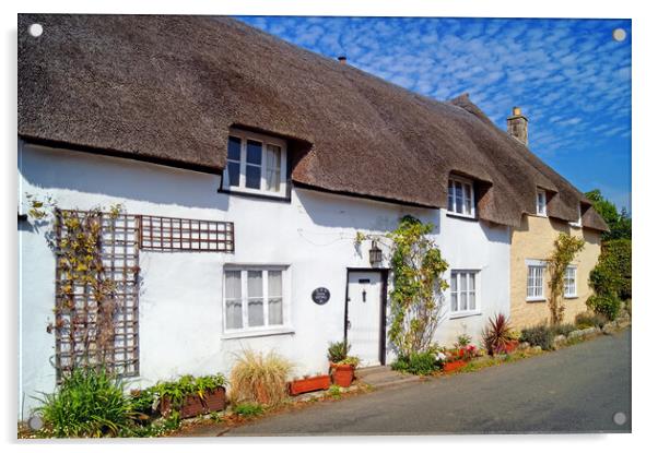 Chideock Cottages Dorset Acrylic by Darren Galpin