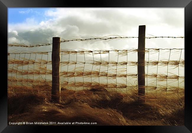 Windy day Framed Print by Brian Middleton