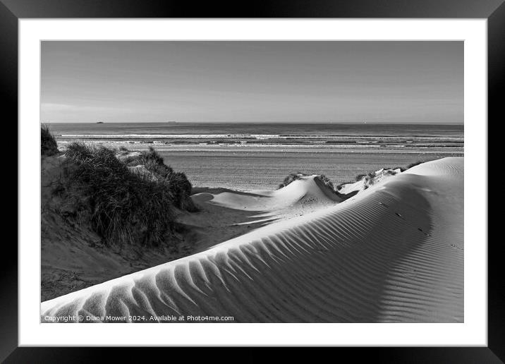 Camber Sands Dunes Monochrome Framed Mounted Print by Diana Mower