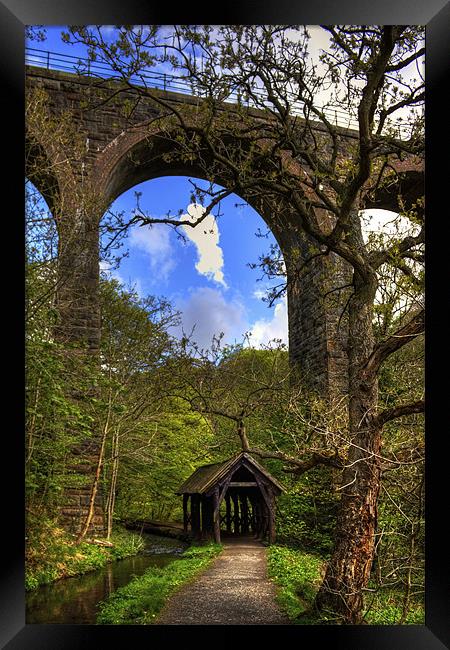 Under the Viaduct Framed Print by Tom Gomez