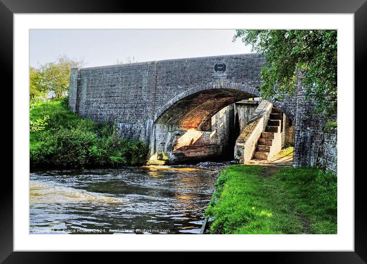 Broom Bridge Penkridge Canal Framed Mounted Print by Diana Mower