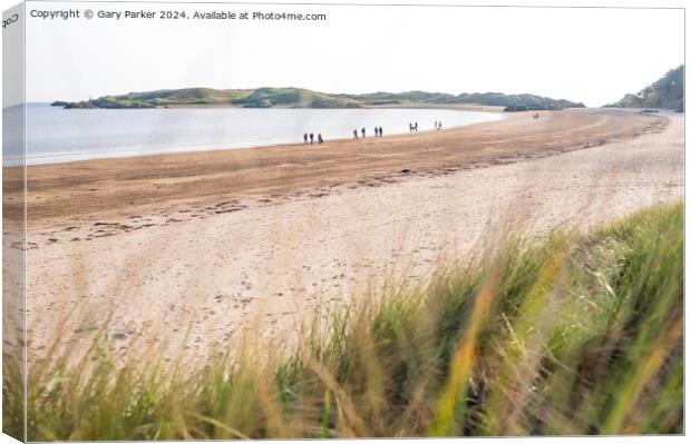 A bright day on the coast at Ynys Llanddwyn, Angelsey, North Wales. Canvas Print by Gary Parker