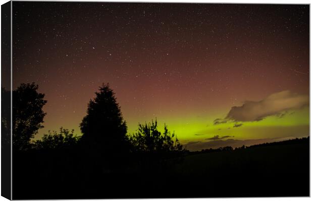 Yellow and Pink Aurora with tree silhouettes in the Scottish Borders, United Kingdom Canvas Print by Dave Collins