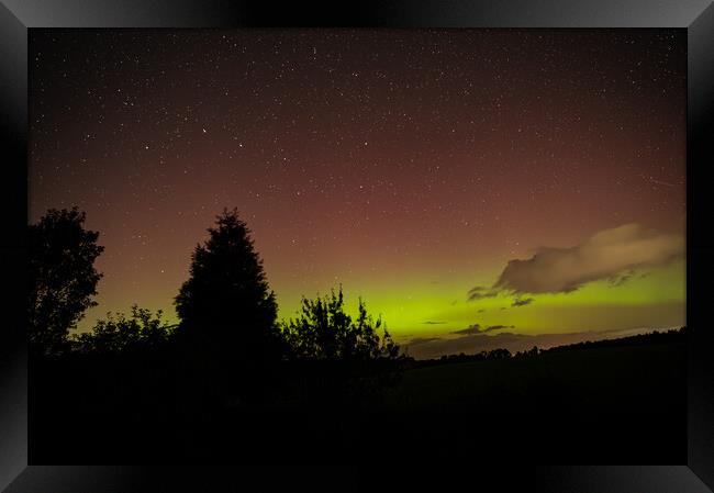 Yellow and Pink Aurora with tree silhouettes in the Scottish Borders, United Kingdom Framed Print by Dave Collins