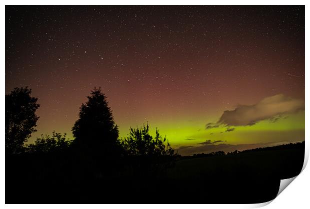 Yellow and Pink Aurora with tree silhouettes in the Scottish Borders, United Kingdom Print by Dave Collins