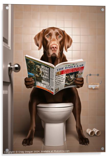 Chocolate Labrador on the Toilet Acrylic by Craig Doogan