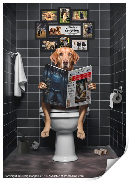 Fox Red Labrador on the Toilet Print by Craig Doogan