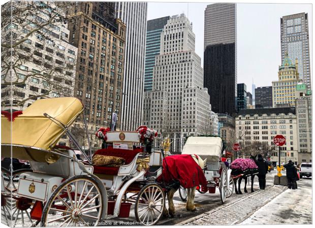 New York horse and carriage Canvas Print by Martin fenton