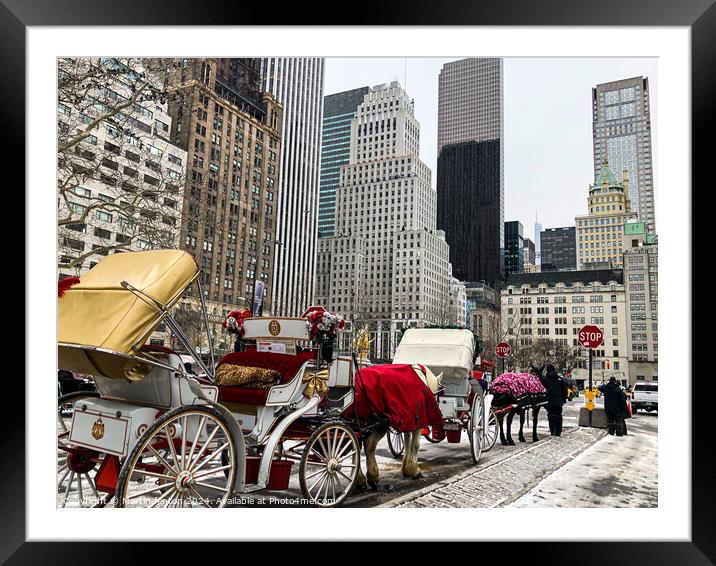 New York horse and carriage Framed Mounted Print by Martin fenton