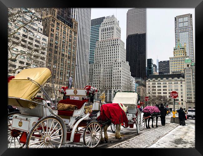 New York horse and carriage Framed Print by Martin fenton