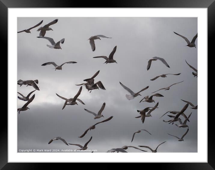 The Crowded Sky Framed Mounted Print by Mark Ward
