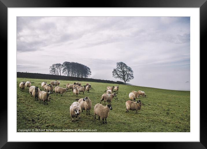 Guiseley Elephant Trees in the Mist Framed Mounted Print by Richard Perks