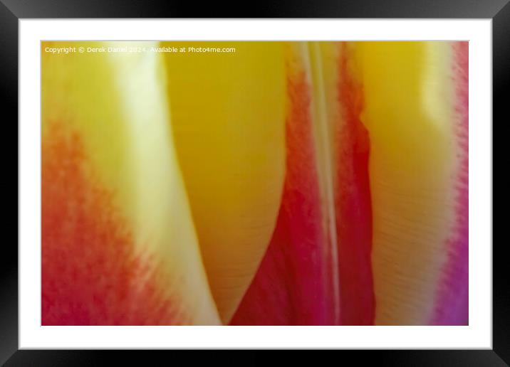 Abstract  Flower Framed Mounted Print by Derek Daniel