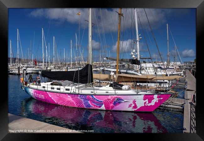 Rubicon Marina pink boat Framed Print by Rob Hawkins