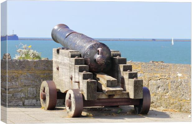 Old Canon on Plymouth Hoe Canvas Print by Bryan 4Pics