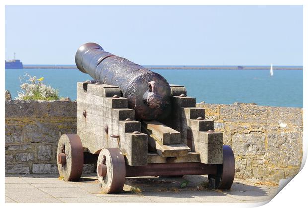 Old Canon on Plymouth Hoe Print by Bryan 4Pics