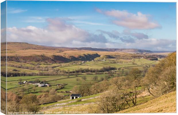 Across to Holwick from Middle Side, Teesdale Canvas Print by Richard Laidler