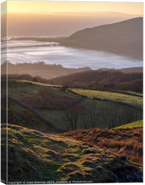 Barmouth View Canvas Print by Dave Bowman