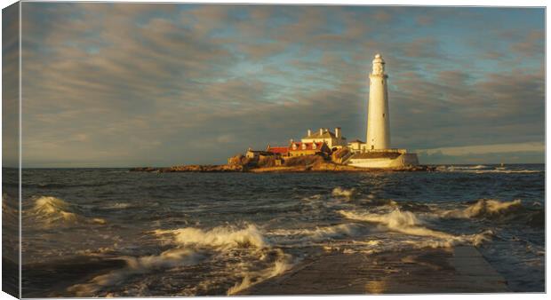 St Marys Lighthouse Sunset  Canvas Print by Anthony McGeever