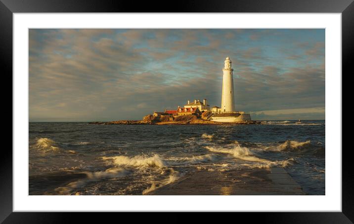 St Marys Lighthouse Sunset  Framed Mounted Print by Anthony McGeever