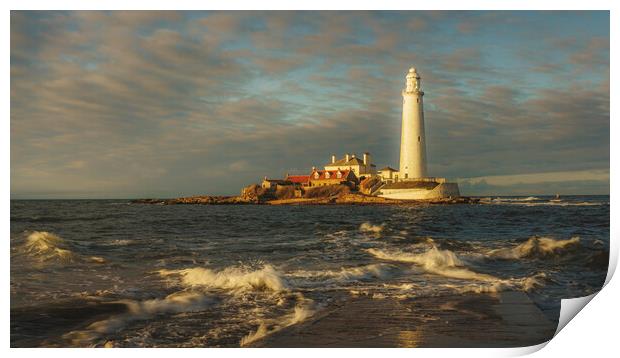 St Marys Lighthouse Sunset  Print by Anthony McGeever