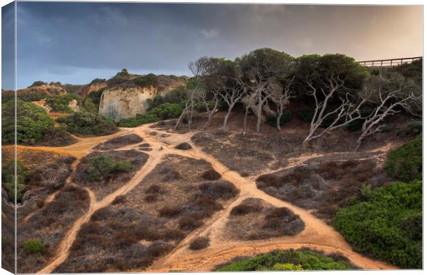 Hillside Coastal Paths In Algarve Canvas Print by Artur Bogacki