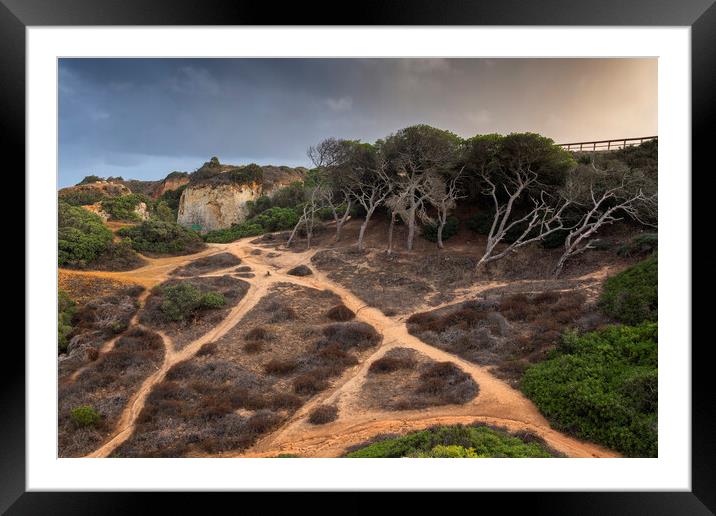 Hillside Coastal Paths In Algarve Framed Mounted Print by Artur Bogacki