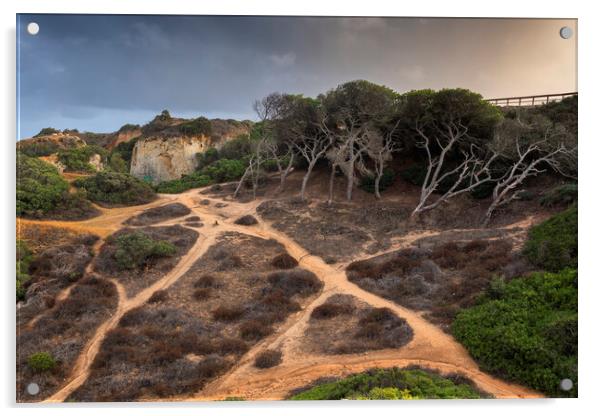 Hillside Coastal Paths In Algarve Acrylic by Artur Bogacki