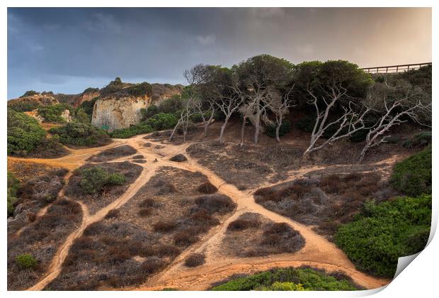 Hillside Coastal Paths In Algarve Print by Artur Bogacki