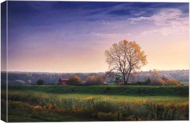Small farm in the river valley Canvas Print by Dejan Travica
