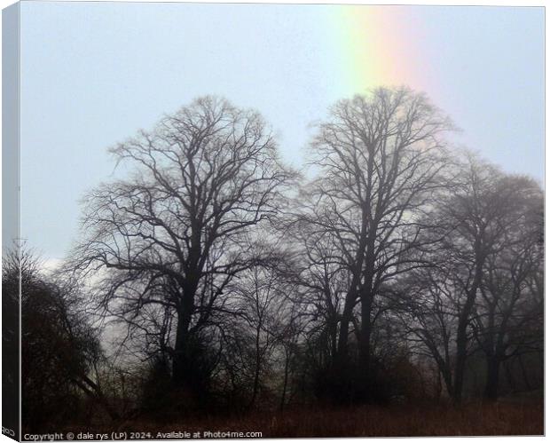 rainbow in the woods Canvas Print by dale rys (LP)