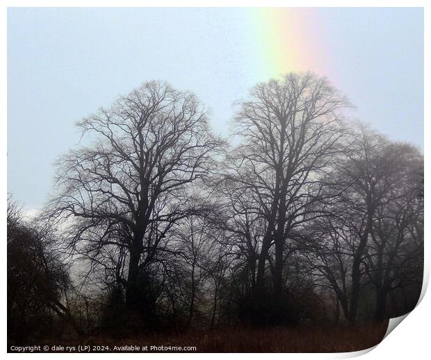 rainbow in the woods Print by dale rys (LP)
