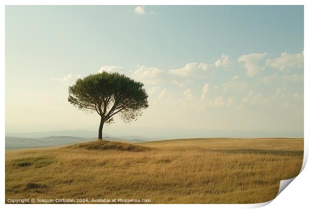A lone tree stands on a grassy hill under a clear blue sky. Print by Joaquin Corbalan