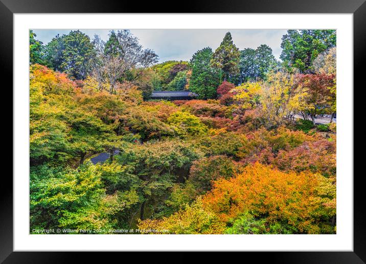 Raining Fall Leaves Tofuku-Ji Buddhist Temple Kyoto Japan Framed Mounted Print by William Perry