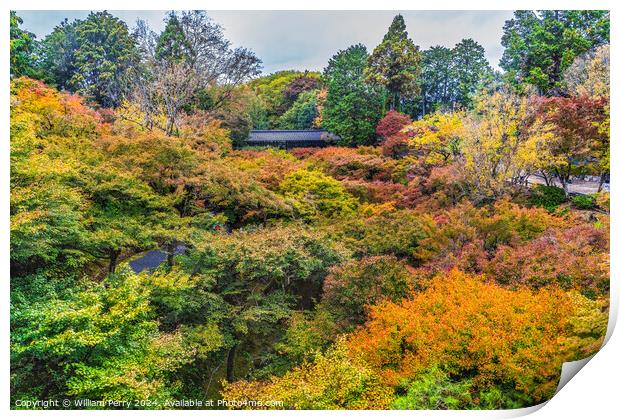 Raining Fall Leaves Tofuku-Ji Buddhist Temple Kyoto Japan Print by William Perry