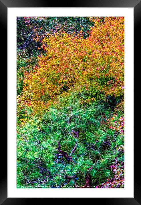 Colorful Fall Leaves Tofuku-Ji Zen Buddhist Temple Kyoto Japan Framed Mounted Print by William Perry