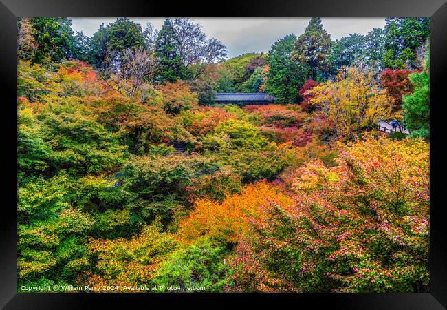 Raining Fall Leaves Tofuku-Ji Buddhist Temple Kyoto Japan Framed Print by William Perry