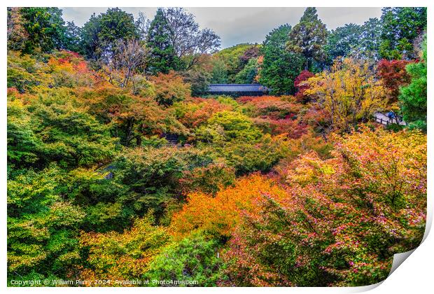Raining Fall Leaves Tofuku-Ji Buddhist Temple Kyoto Japan Print by William Perry