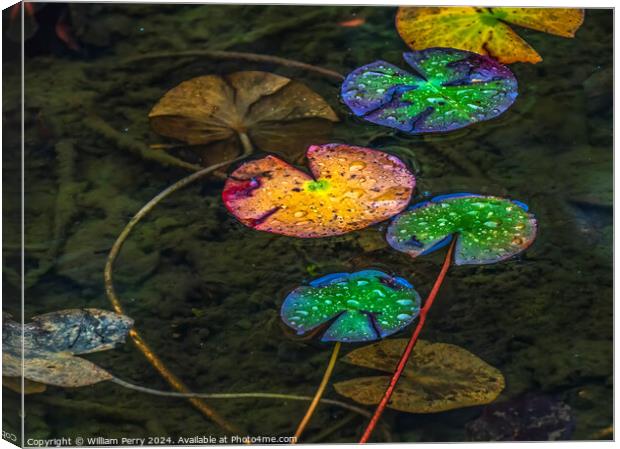 Colorful Fall Lily Pads Tofuku-Ji Zen Buddhist Temple Kyoto Japa Canvas Print by William Perry