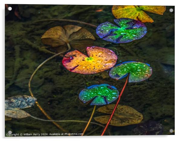 Colorful Fall Lily Pads Tofuku-Ji Zen Buddhist Temple Kyoto Japa Acrylic by William Perry